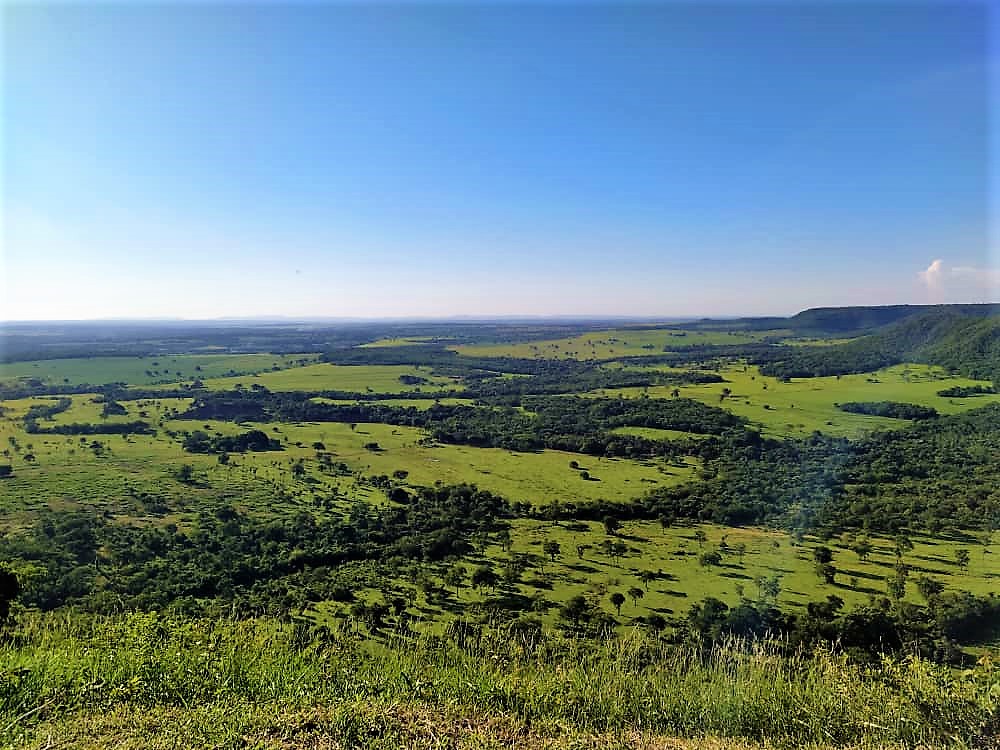 Um Pôr Do Sol Imperdível