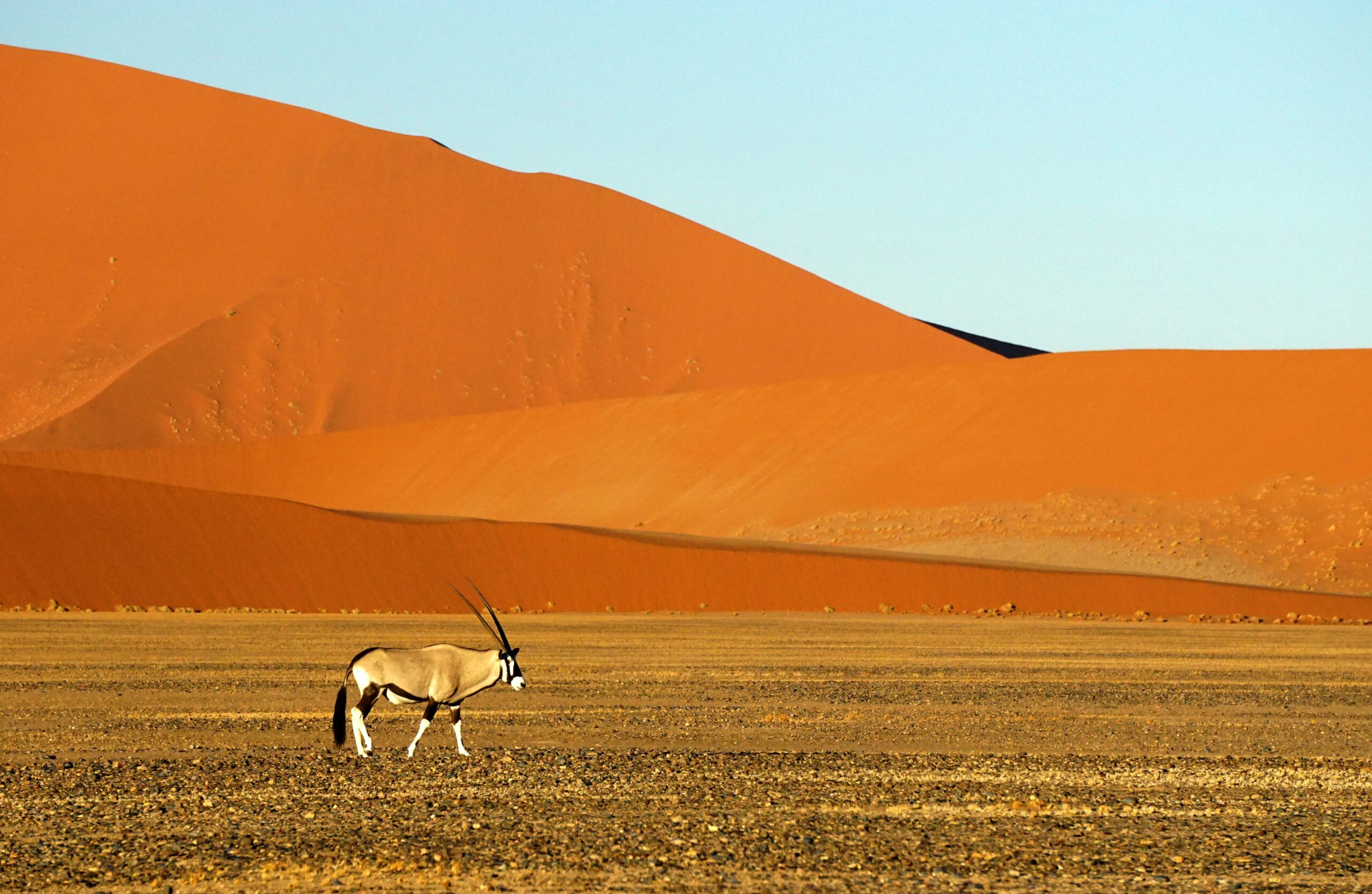 Namíbia – A Beleza Intocada da Natureza Selvagem